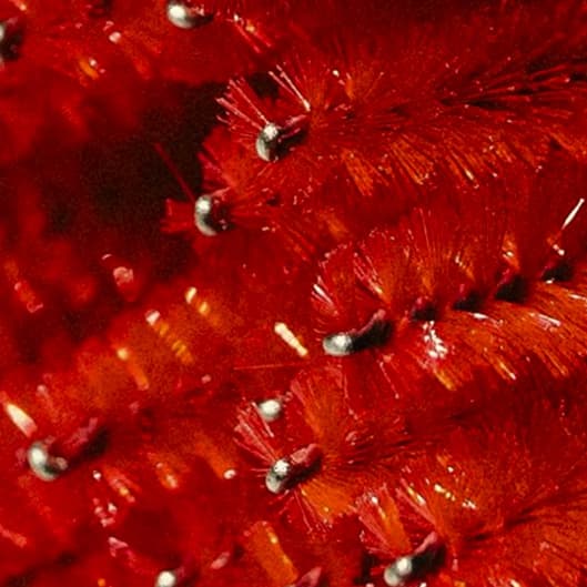 Year of Eyebrow Waxes at Wait For The End in Raleigh, NC